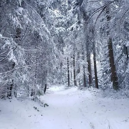 アパート Im Schoenen Fichtelgebirge *